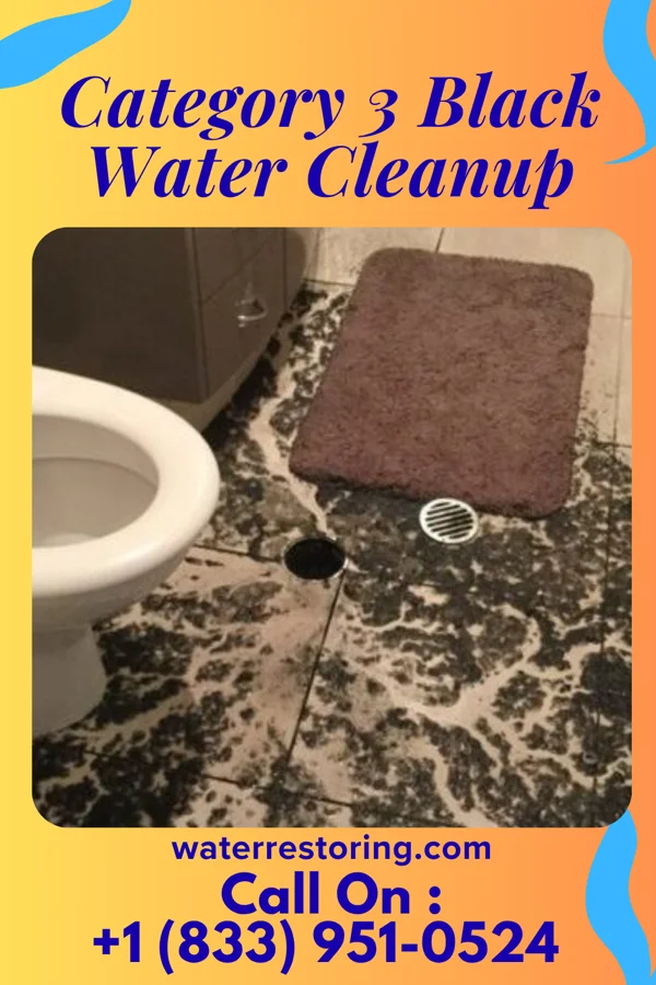 Category 3 Black Water Cleanup in Arcadia, OH