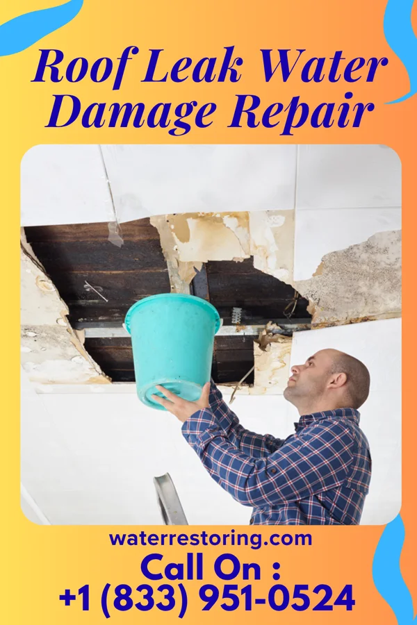 Roof Leak Water Damage Repair in Arcadia, OH