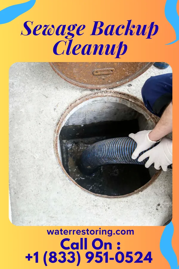 Sewage Backup Cleanup in Arcadia, OH