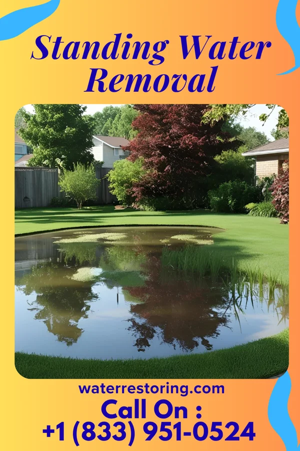 Standing Water Removal in Arcadia, OH